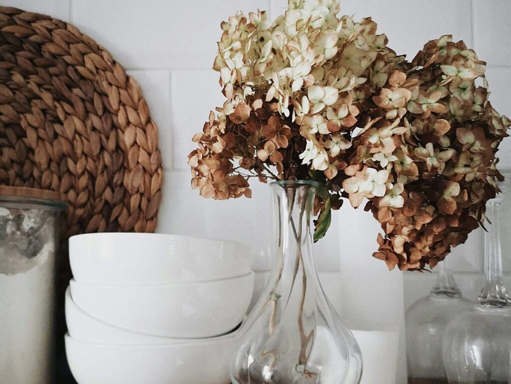 Aiken SC Photographer - Image of a vase of fall hydrangea blooms set on a kitchen counter among dishes.